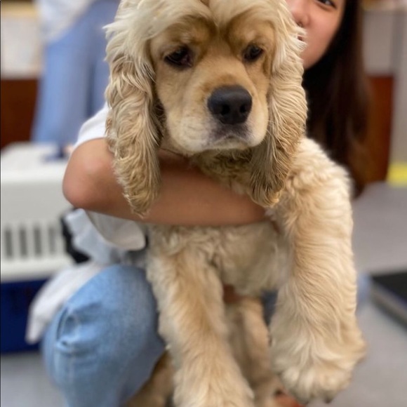 โก๏ธ๐ WELCOME TO 2ND BOHO CLOSET ๐โก๏ธ - Picture 14 of 16